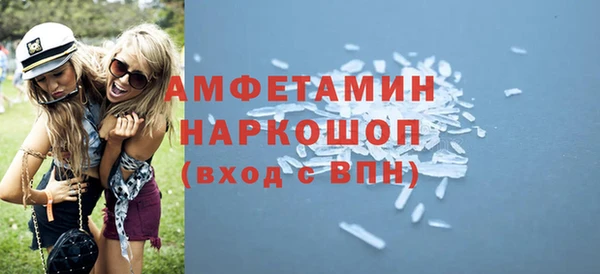 гашик Няндома
