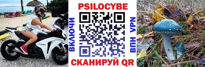 как найти   Ульяновск  Галлюциногенные грибы Magic Shrooms 