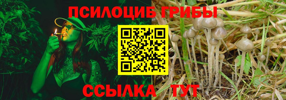 Галлюциногенные грибы ЛСД Ульяновск