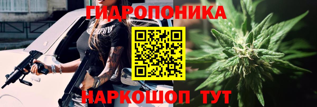 Конопля сатива  Бошки марихуана индика  Вход с VPN  Бошки Шишки сатива  Ульяновск 